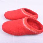 Felt Shoe